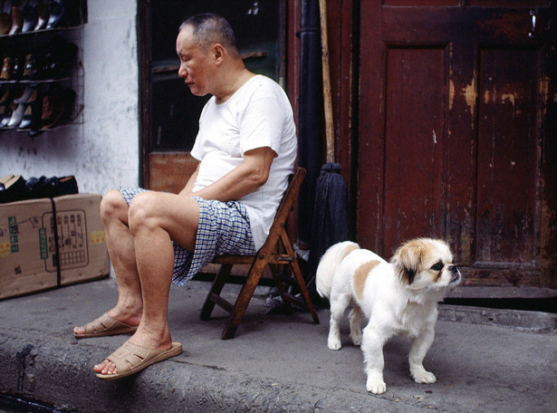 Chiny eksperymentują z "polityką jednego psa"