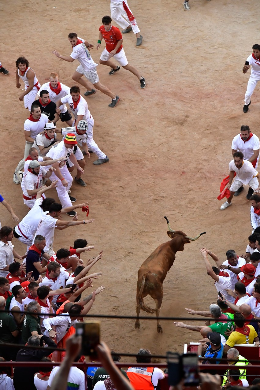 Trka bikova, Pamplona