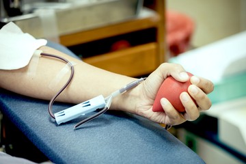 Hogy kerül a levett vér a műtőbe? - megnéztük