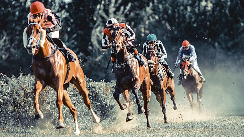 Ove godine gotovo svake nedelje je u planu jedan trkački dan