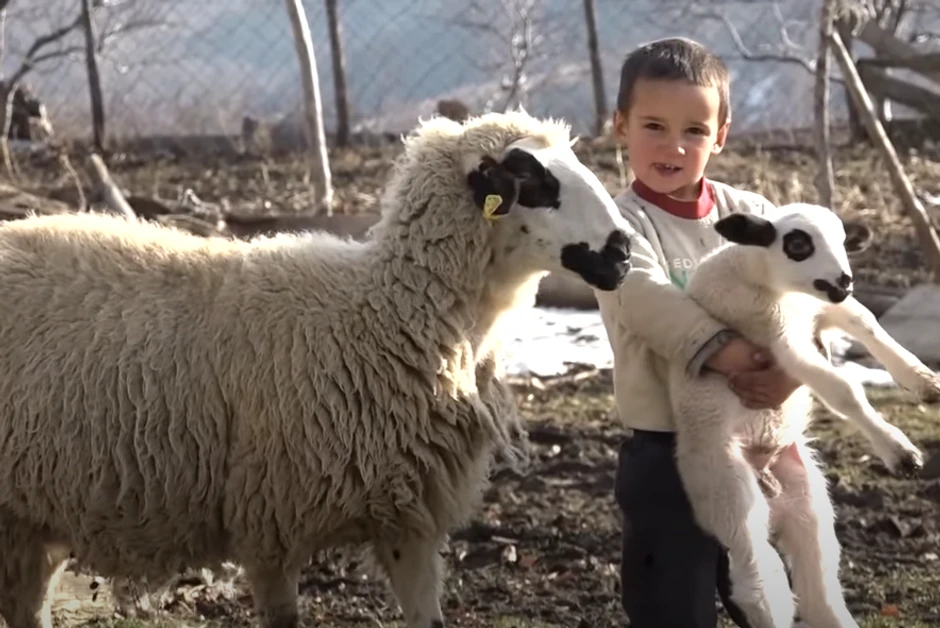 Deca posle škole pomažu roditeljima