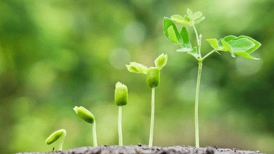 9 ways to make your small business legit (Keap)