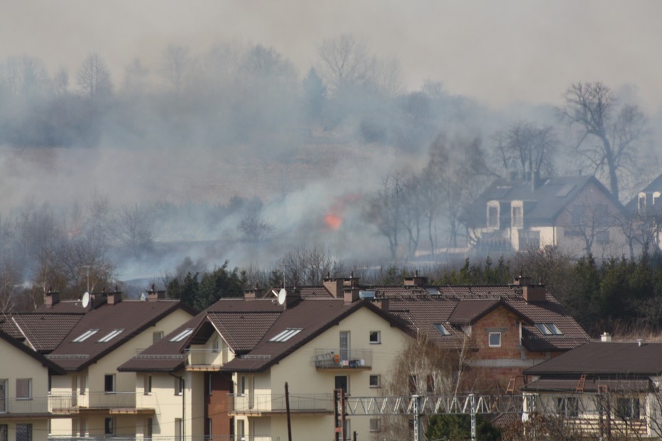 Pożar łąk w krakowskich Bronowicach, Fot. Dawid Hubrich/Daj znać!