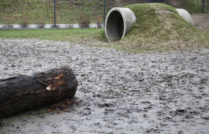 Na ten bubel wydano prawie 123 tysięcy