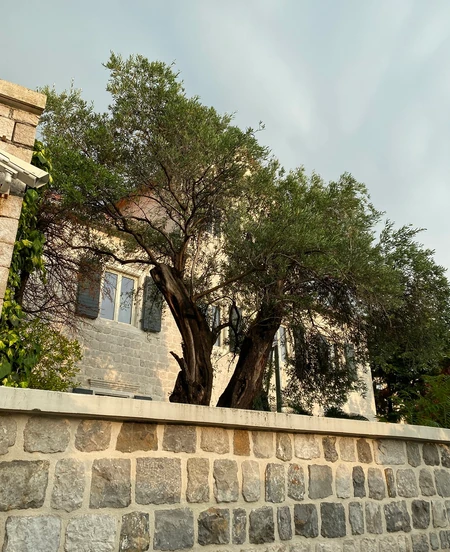 Kuća Karića u Ljutoj