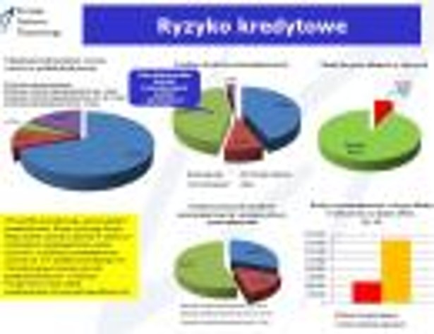 Ryzyko kredytowe SKOK-ów