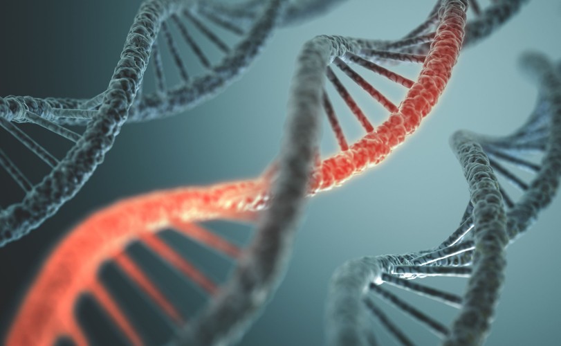 8. Uwarunkowania genetyczne