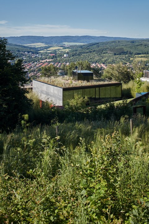 Jest jak modernistyczna willa. "Leniwy dom" z basenem i winiarnią