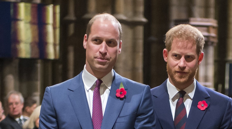 Harry és Meghan épp Vilmos beszédének kezdetére időzítette a hercegné nagy bejelentését / Fotó: GettyImages