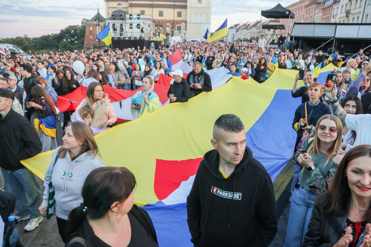 Gdzie pracują Ukraińcy? Oto najpopularniejsze branże