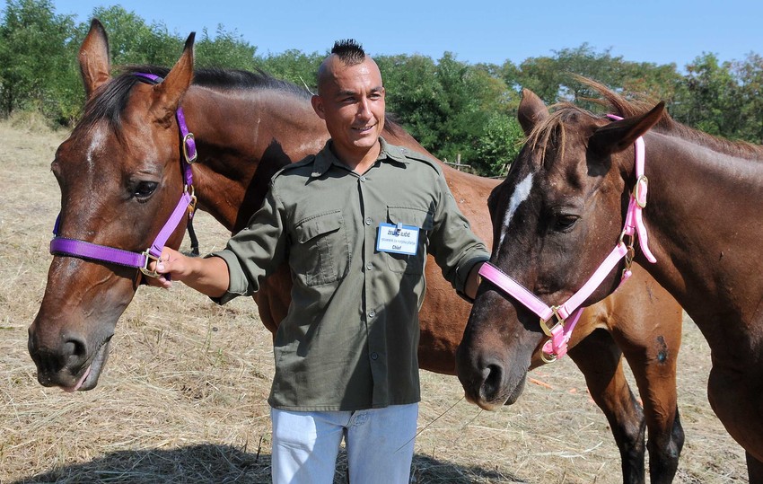 Kapacitet azila je do 100 grla