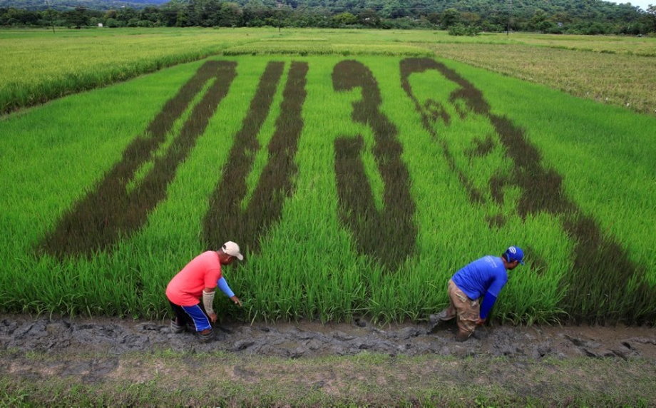 Artwork featuring the image Philippine President Rodrigo Duterte as part of his nickname, "DU30," is seen on a rice paddy in Los Banos city, Laguna province, south of Manila.