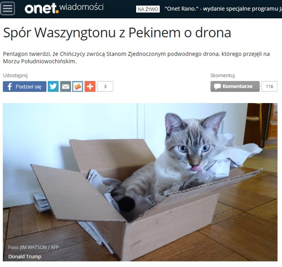 wiadomosci.onet.pl 