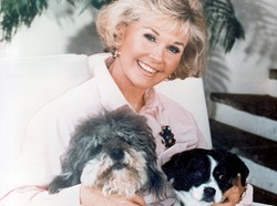 Legenda Hollywood po 17 latach wraca z nową płytą