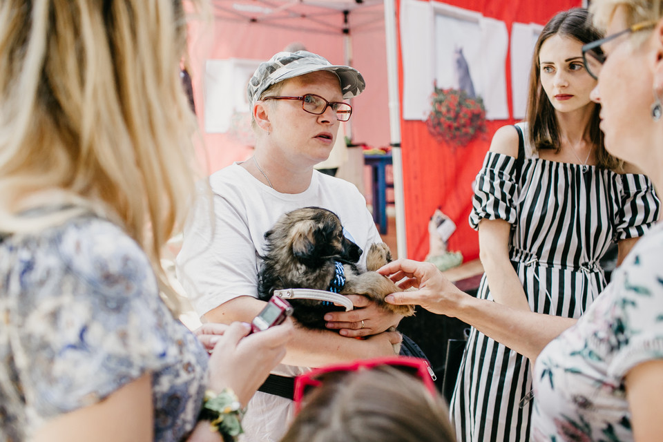 "Sekretne życie zwierzaków domowych 2": ogólnopolska trasa z bohaterami filmu w Krakowie / Izabela Sambor z Dog Rescue i Leoś