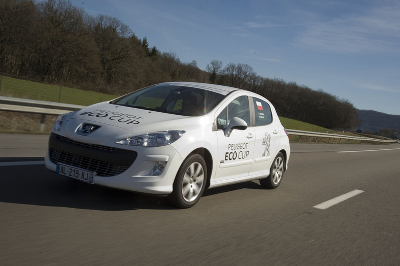 Peugeot: polska drużyna na szesnastym miejscu w Eco Cup