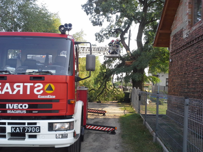 Mysłowice. Nawałnica przeszła nad miastem 