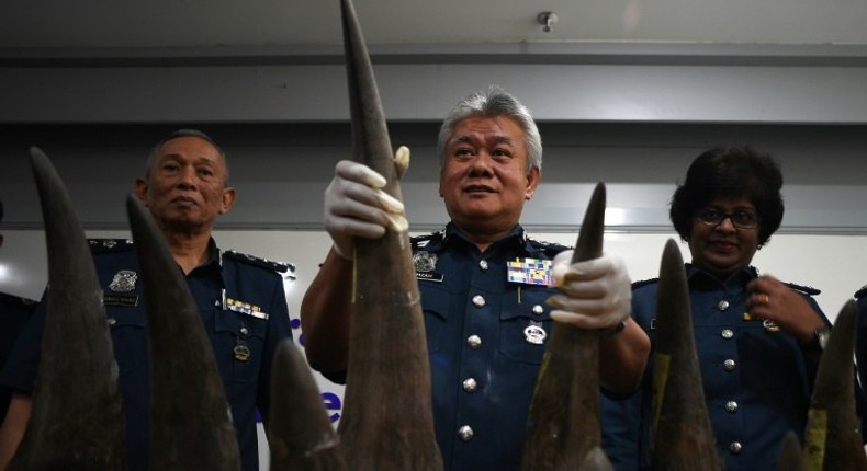 Malaysian Airports Customs Director Hamzah Sundang (C) shows seized rhino horns imported from Mozambique in a crate listed as containing art objects, April 10, 2017