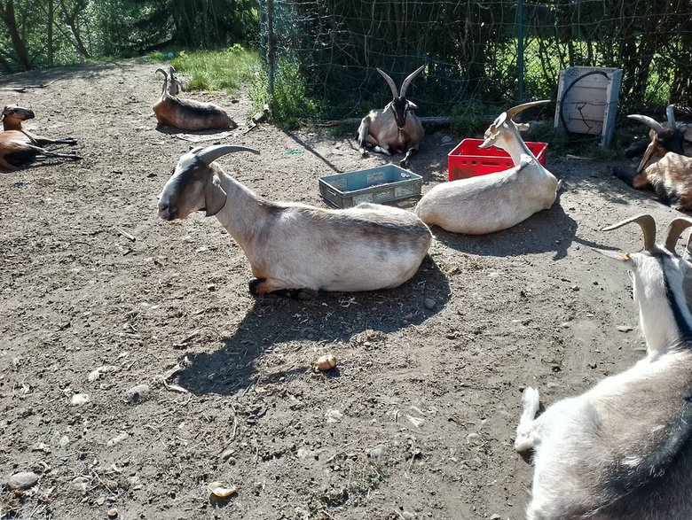 Spływ pontonowy Bardo na Dolnym Śląsku