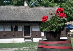 Srećno selo u kojem svi imaju posao