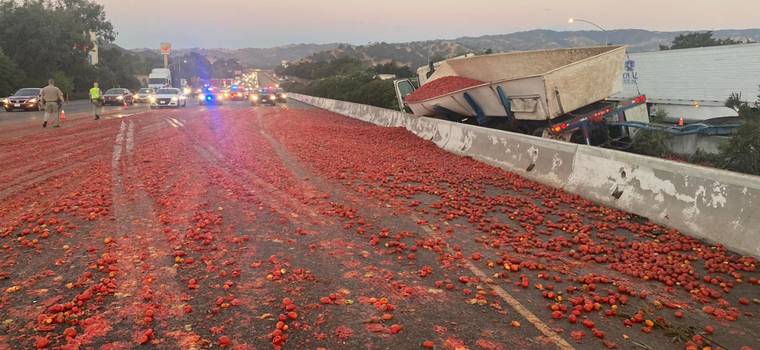Pomidorowa autostrada. Tysiące pomidorów zablokowały drogę