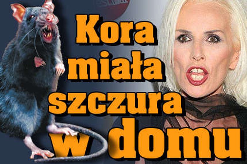 Kora miała w domu szczura