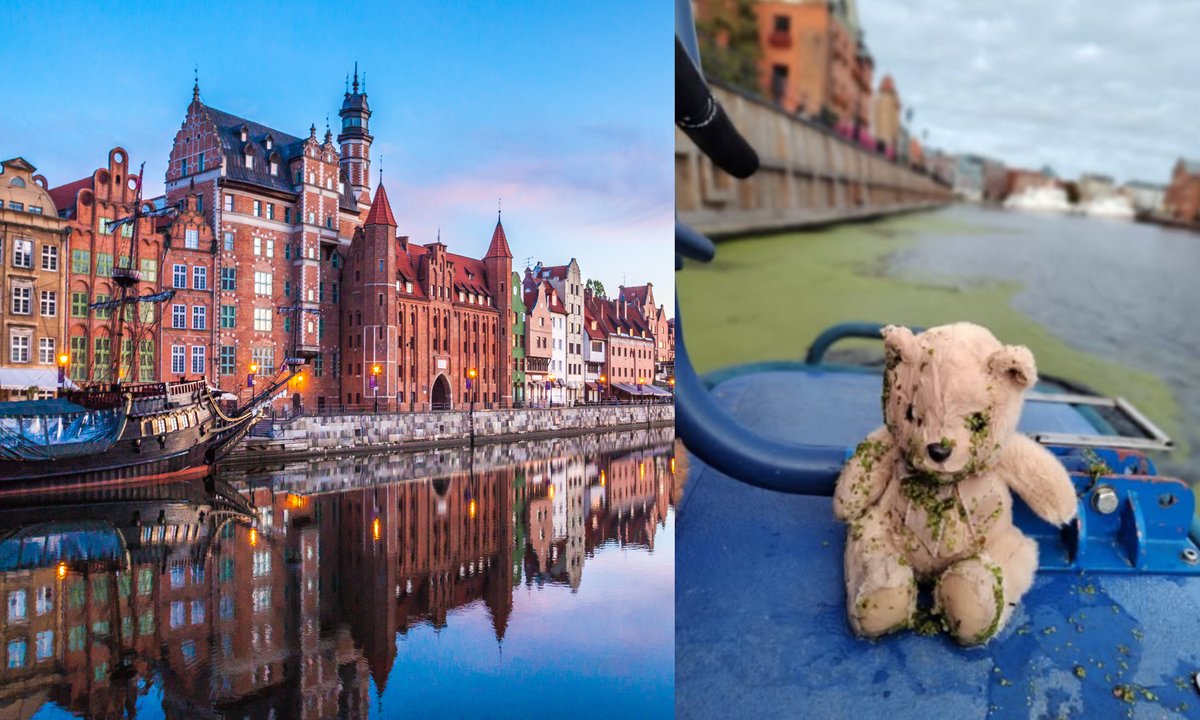 Pluszowy miś wyłowiony z Motławy. Narodowe Muzeum Morskie szuka właściciela