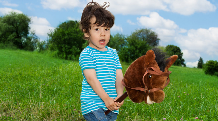 Vesszőparipa versenyt tartottak /Fotó: shutterstock