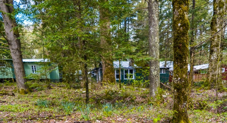 Hidden in the lush woods of Great Smoky Mountains National Park, a once-abandoned resort town known as Elkmont is full of 100-year-old cabins.