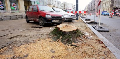 Wycięli drzewa na Piotrkowskiej