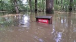 Zalane tereny Nadleśnictwa Wołów