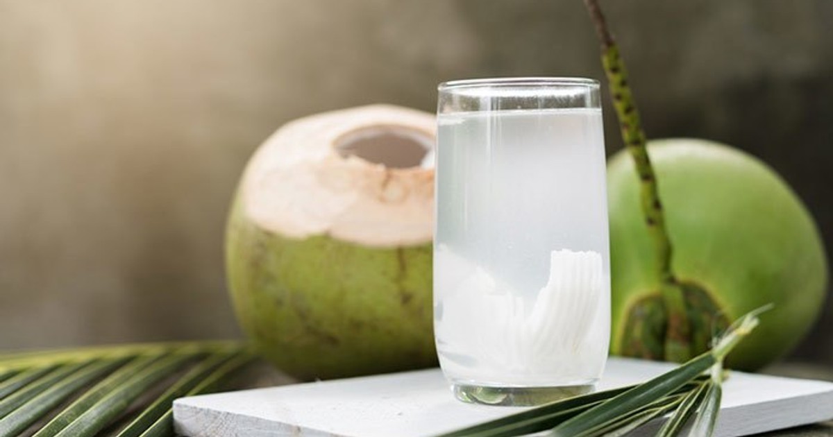 6 disadvantages of coconut water you should be aware of Pulse Nigeria