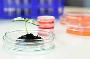 Dlaczego biznes nie docenia prac polskich naukowców?