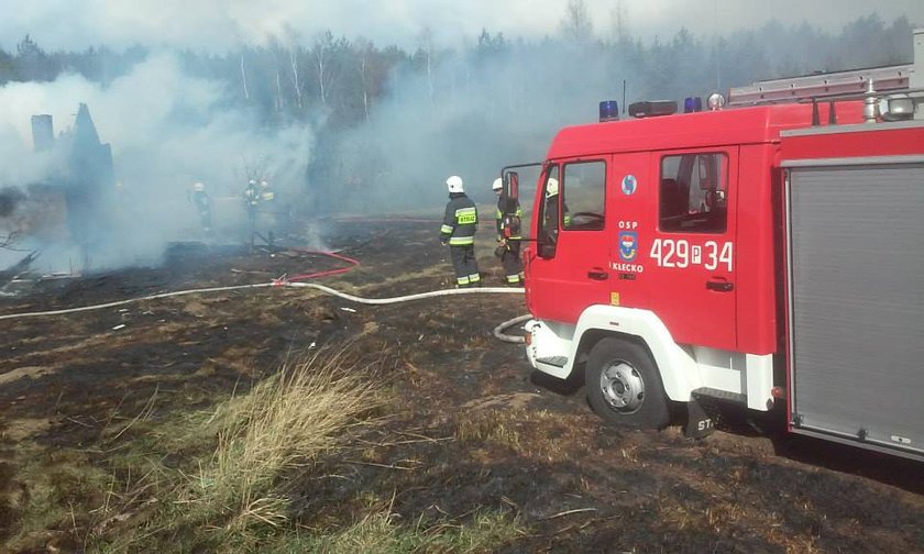 Spłonęły dwa budynki i 7 hektarów nieużytków