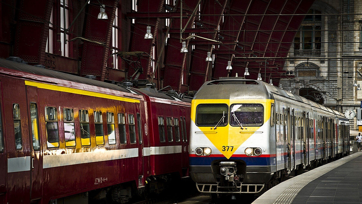 Na czas ferii zimowych PKP Intercity uruchomi dodatkowe połączenia do miejscowości górskich, m.in. Zakopanego, Wisły czy Krynicy - poinformował w czwartek prezes spółki Janusz Malinowski. W tym czasie na tory wyjedzie więcej pociągów.