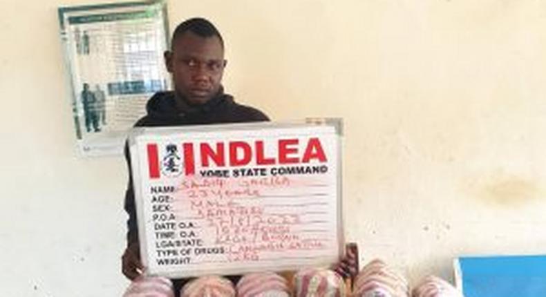Suspect with illicit drugs seized by the NDLEA Personnel. [NAN]