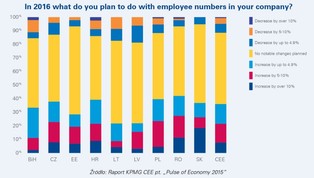 Zatrudnienie, podwyżki, prognozy na przyszłość. Oto plany firm na 2016 rok