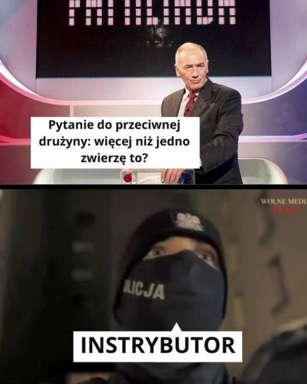 Najśmieszniejsze memy z "instrybutorem"