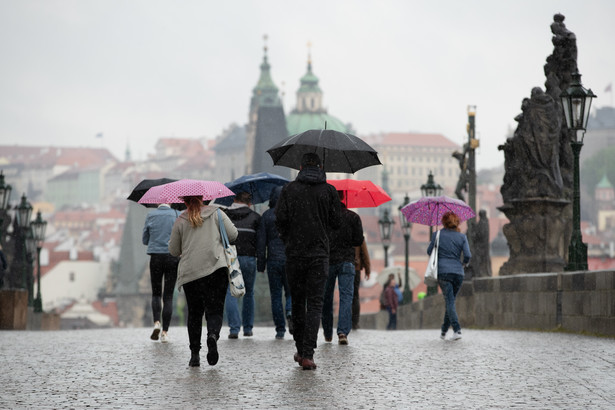 Fala zachorowań na krztusiec w Czechach