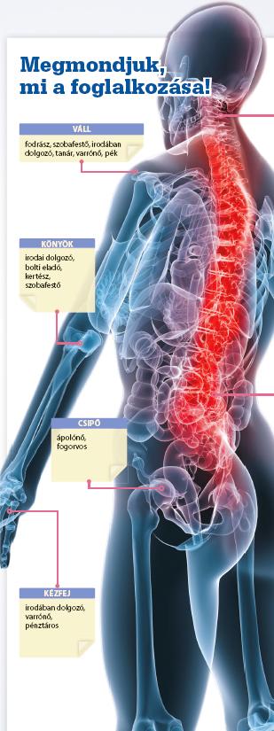 minden ízület fáj mi lehet az