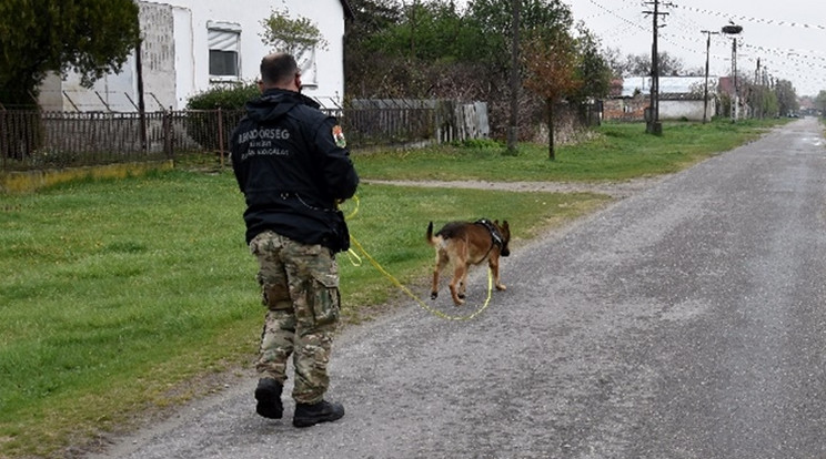 Joker, a nyomkövető kutya elvezeti a rendőröket a rabló otthonához / Fotó: police.hu