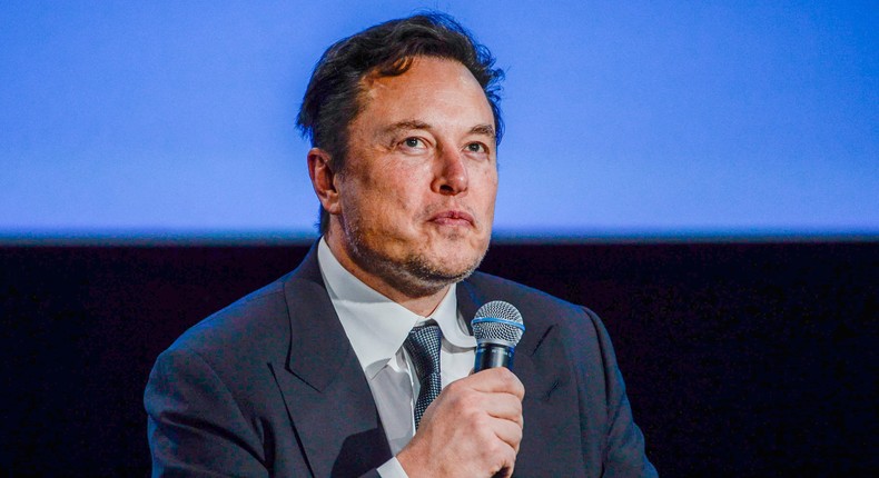 Elon Musk.Carina Johansen/Getty Images