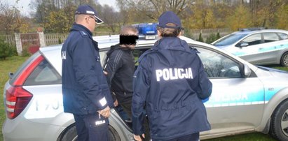 Policja zlikwidowała hurtownię marihuany