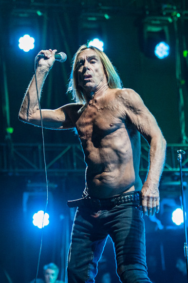 OFF Festival 2012: Iggy Pop &amp; The Stooges (fot. Monika Stolarska / Onet)