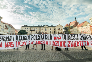 Młodzież Wszechpolska, Protest przeciwko przyjmowaniu imigrantów