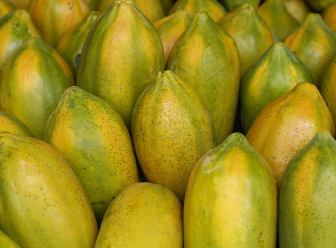 3. Regeneruje po kuracji antybiotykowej