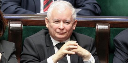 To jest nokaut! Ogromna przewaga PiS w najnowszym sondażu