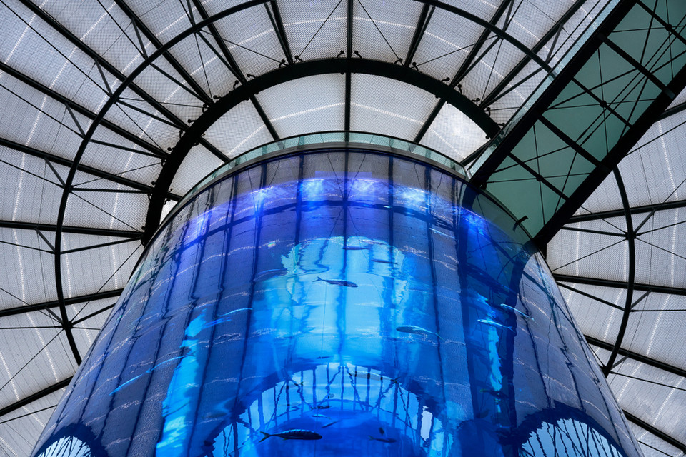 Akwarium AquaDom w Berlinie