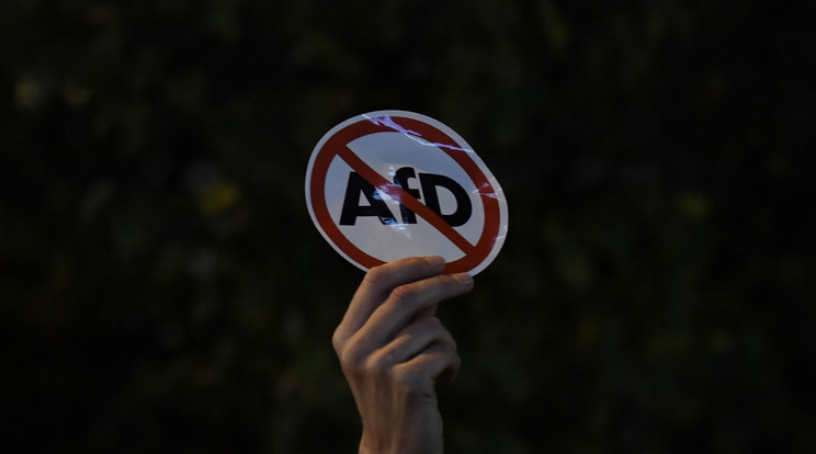 A szélsőjobb párt ellen tiltakoztak Berlinben /Fotó:AFP