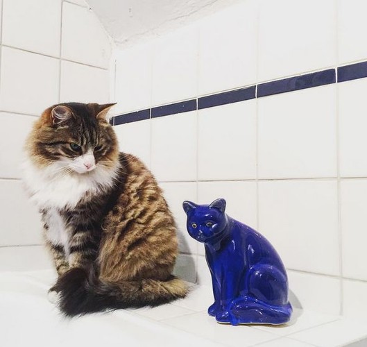 zdjęcie z profilu Marty Kaczyńskiej